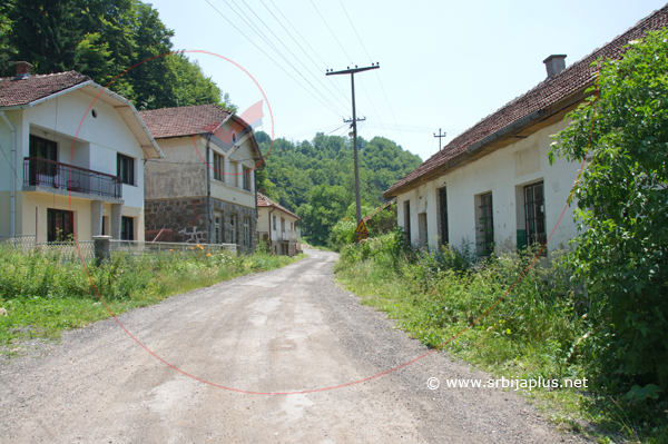 Put za Crnu Travu