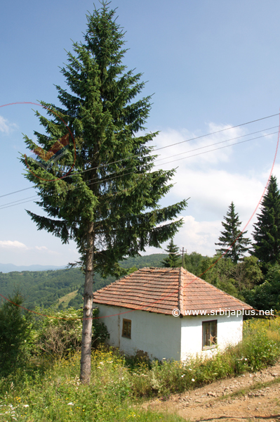 Seoska kuća, Vus, Crna Trava