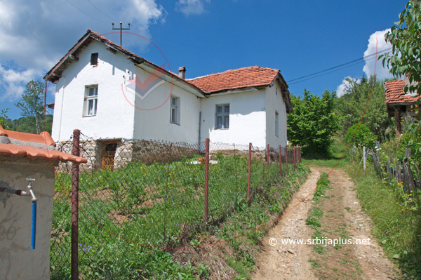 Zlatance, mahala Golusci, Crna Trava