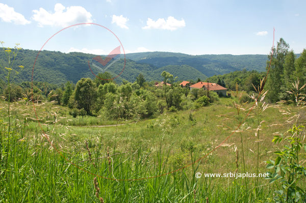 Seoske livade, Zlatance, Crna Trava