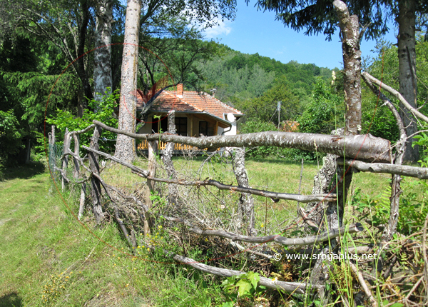 Stari plot, Zlatance, Crna Trava