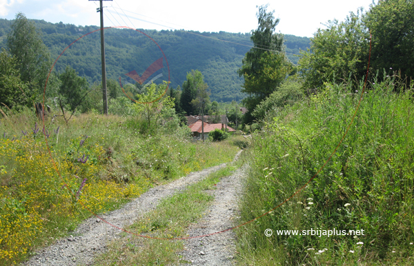 Seoski sokak, Zlatance, Crna Trava