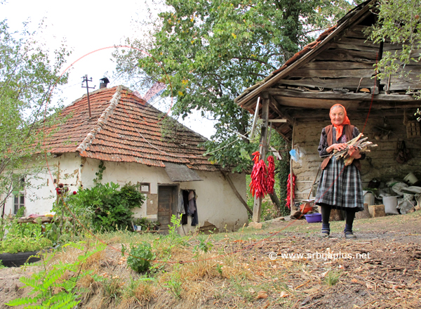 Crni Vrh, Lozanka Zlatković