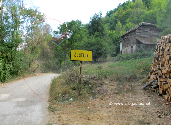 Ćuštica, Knjaževac