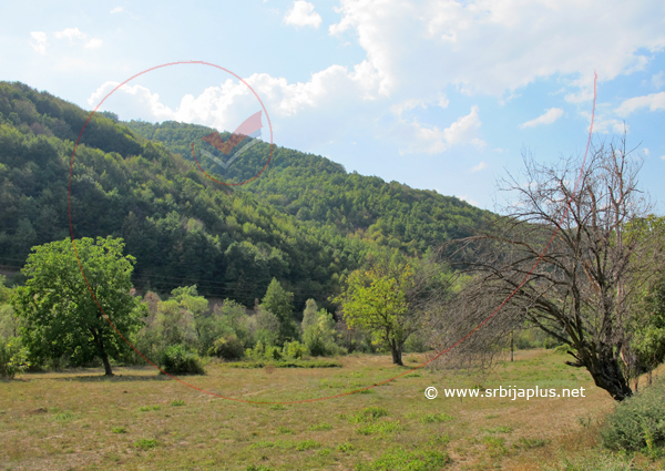 Seoske livade, Ćuštica, Knjaževac