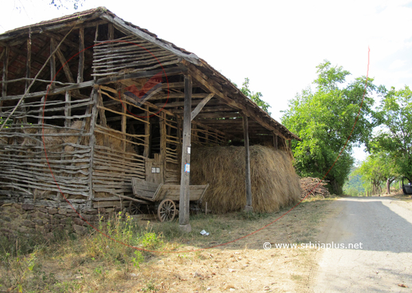 Ambar, Ćuštica, Knjaževac