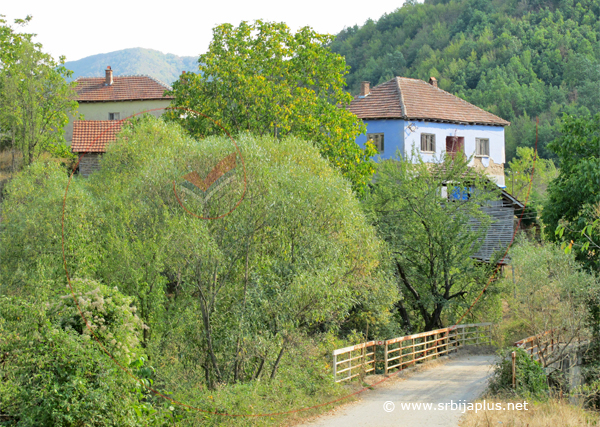 Ćuštica, Knjaževac