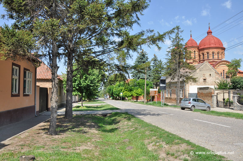 Panorama Deliblata