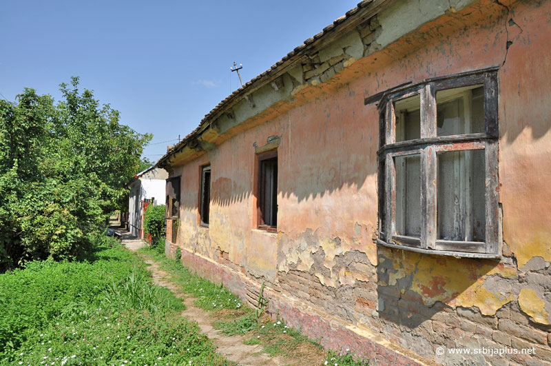 Deliblato - kibic fenster ili kibic pendžer