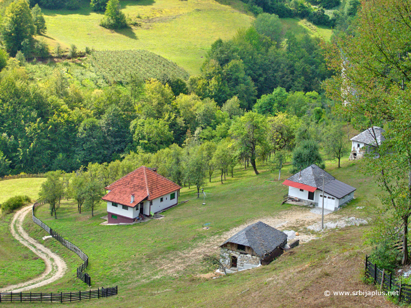 Dobrače, avgust 2013, Arilje