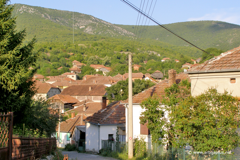 Donja Sokolovica, Knjaževac
