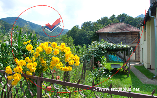 Dvorište sa malom, seoskom baštom, Donja Trešnjica, Mali Zvornik