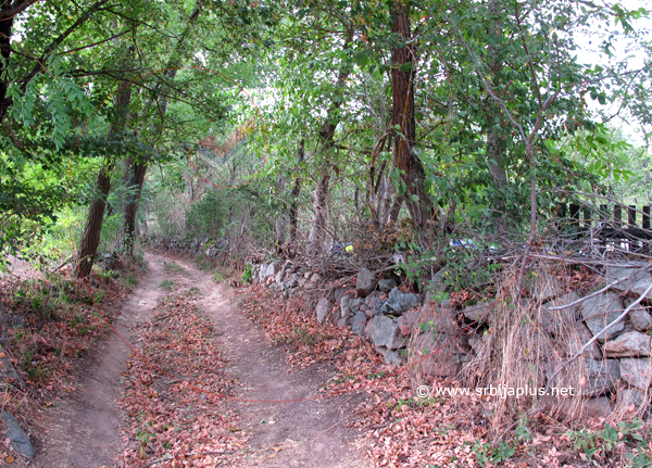 Gabrovnica, Knjaževac