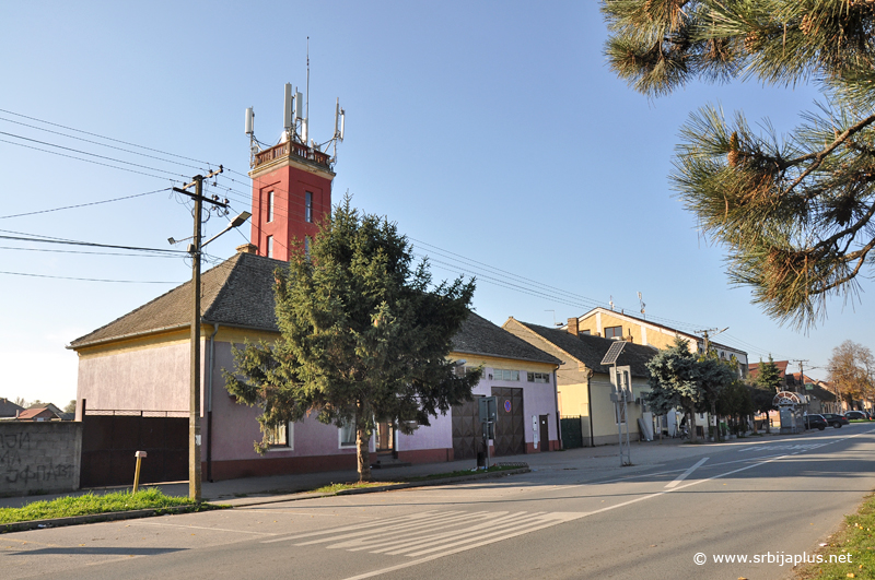 Glogonj
