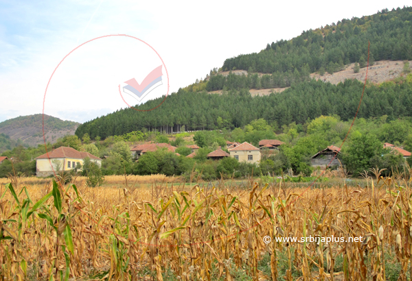 Gornja Kamenica, Knjaževac