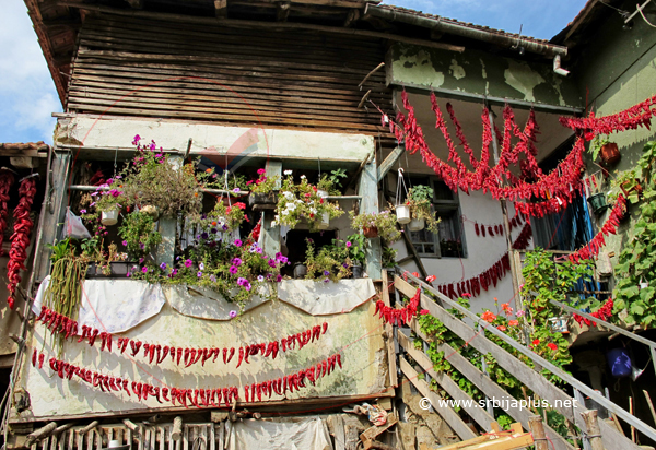 Gornja Kamenica, seosko dvorište, Knjaževac