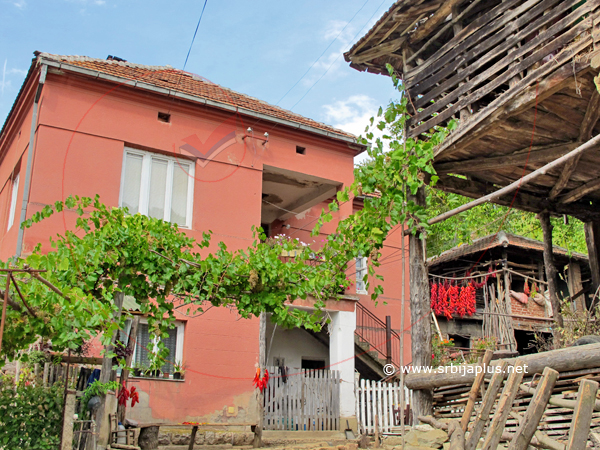 Gornja Kamenica, Knjaževac