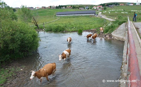 Gornja Vapa