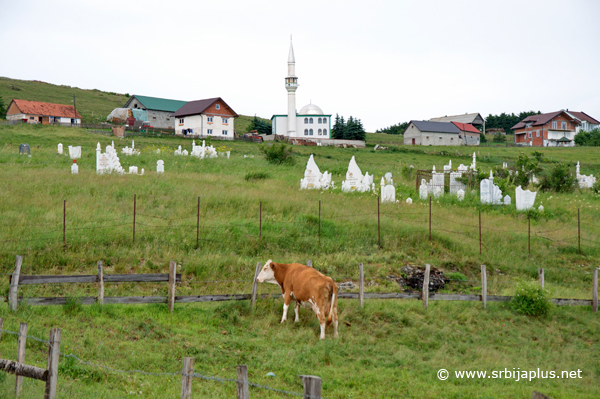 Gornja Vapa, Sjenica