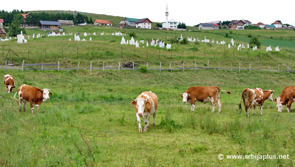 Gornja Vapa - panorama sela