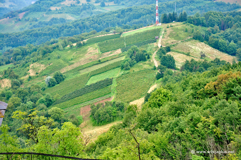 Malinjaci ispod Gradine, Arilje