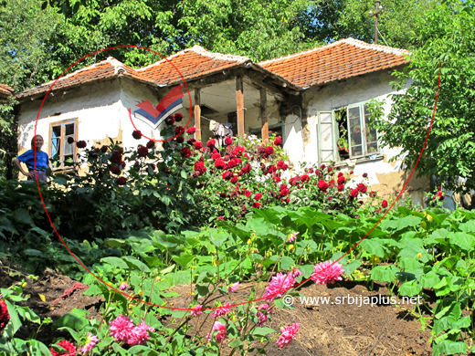 Kuća s ćoškom i baštom, Grapa, Dimitrovgrad