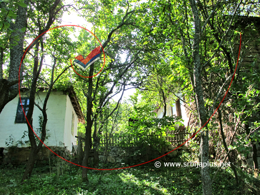 Kuće u zelenilu, Grapa, Dimitrovgrad