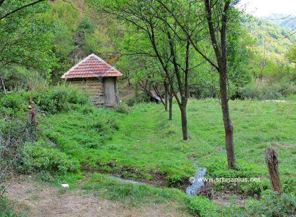 Vodenica, Janja, Knjaževac