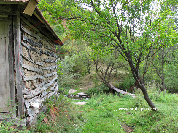 Vodenica, Janja, Knjaževac