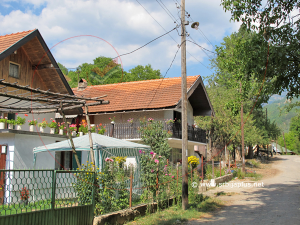 Nove kuće u Janji, Knjaževac