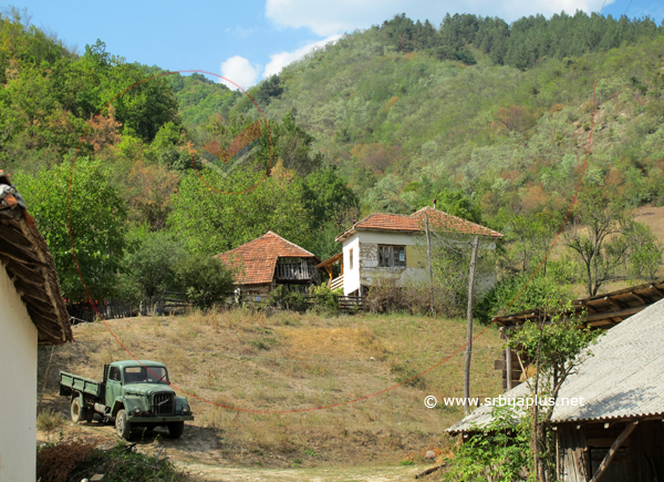 Janja, Knjaževac