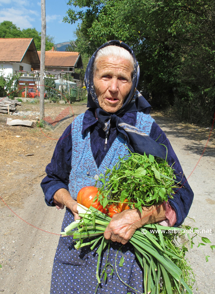Janja, Knjaževac