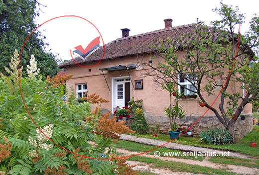 Seosko dvorište s običnom, seoskom kućom i kajsijom, Jošanica, Žagubica