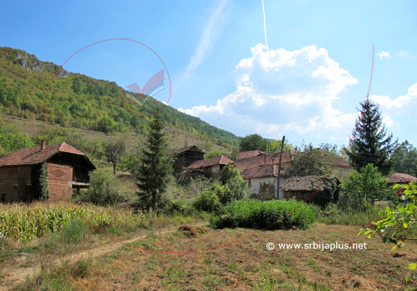 Bašte, Kalna, Knjaževac
