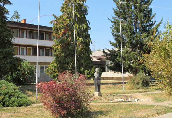 Centar Kalne, Knjaževac