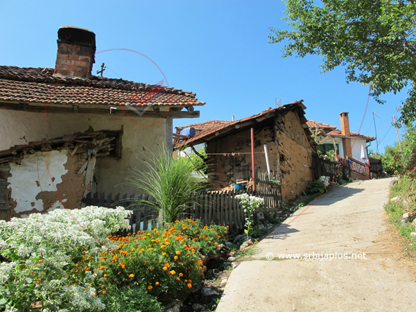 Cvetni sokak, Kandalica, Knjaževac