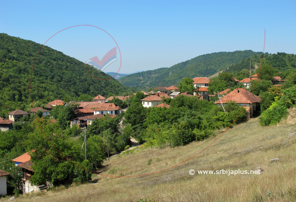 Kandalica, Knjaževac