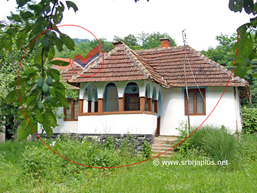 Sređena stogodišnja kuća, Krepoljin, Žagubica
