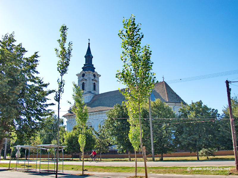 Centar Kumana sa sadnicima jablanova, Novi Bečej