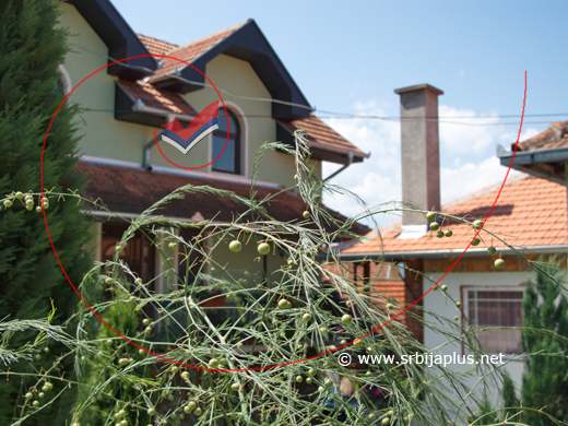 Nova arhitektura u Laznici, Žagubica