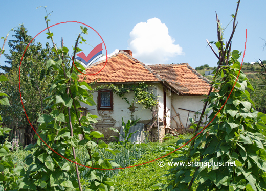 Tradicionalna kuća s baštom i vinjagom od vinove loze, Laznica, Žagubica