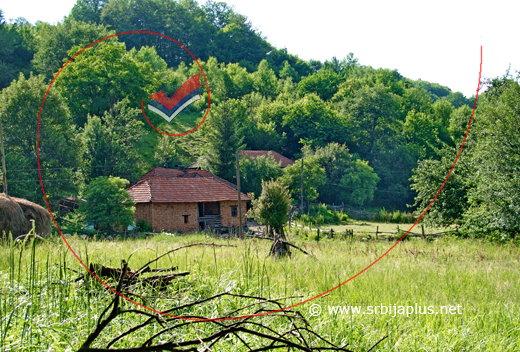 Letnje popodne, Lipa, Žagubica