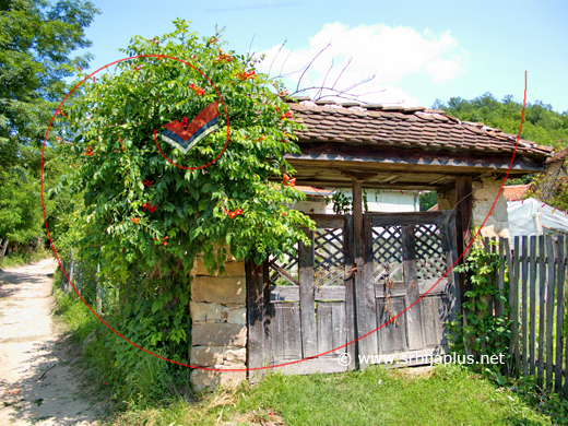 Ukrštanje seoskog sokaka s Govedarskim potokom, Medveđica, Žagubica
