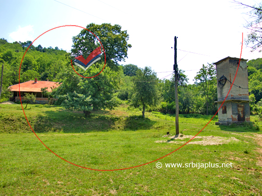 Centar Medveđice, Žagubica