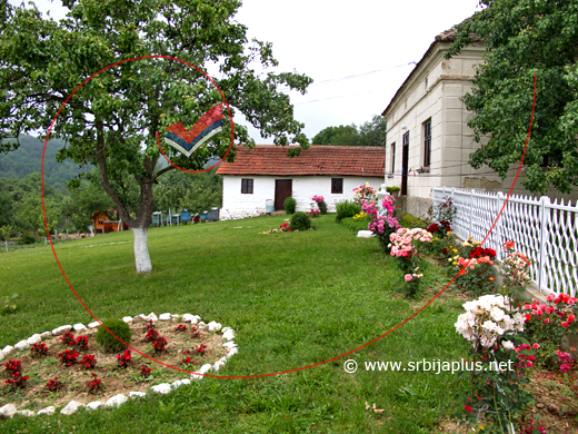 Stari deo dvorišta, nedaleko od potpuno nove kuće, Milatovac, Žagubica