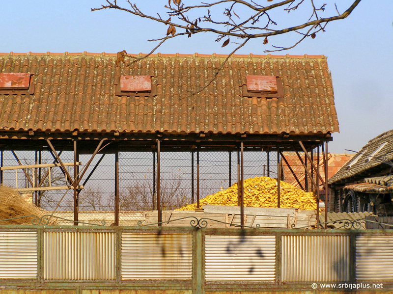Opovo - Seosko domaćinstvo sa košem
