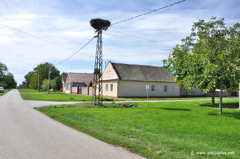 Panorama Orlovata