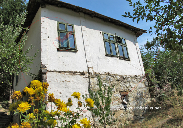 Papratna, Kuća s cvećem, Knjaževac