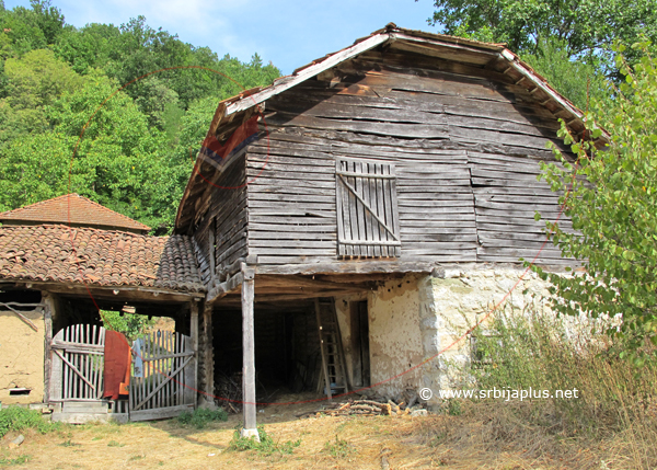 Papratna, ambar, Knjaževac