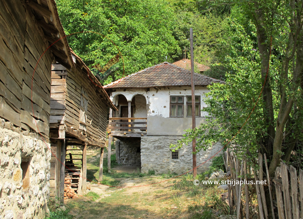 Papratna, Seosko dvorište, Knjaževac